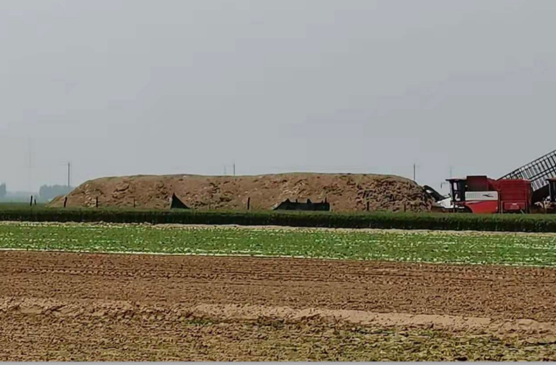 因為信任,甘當(dāng)鄭州中聯(lián)排頭兵