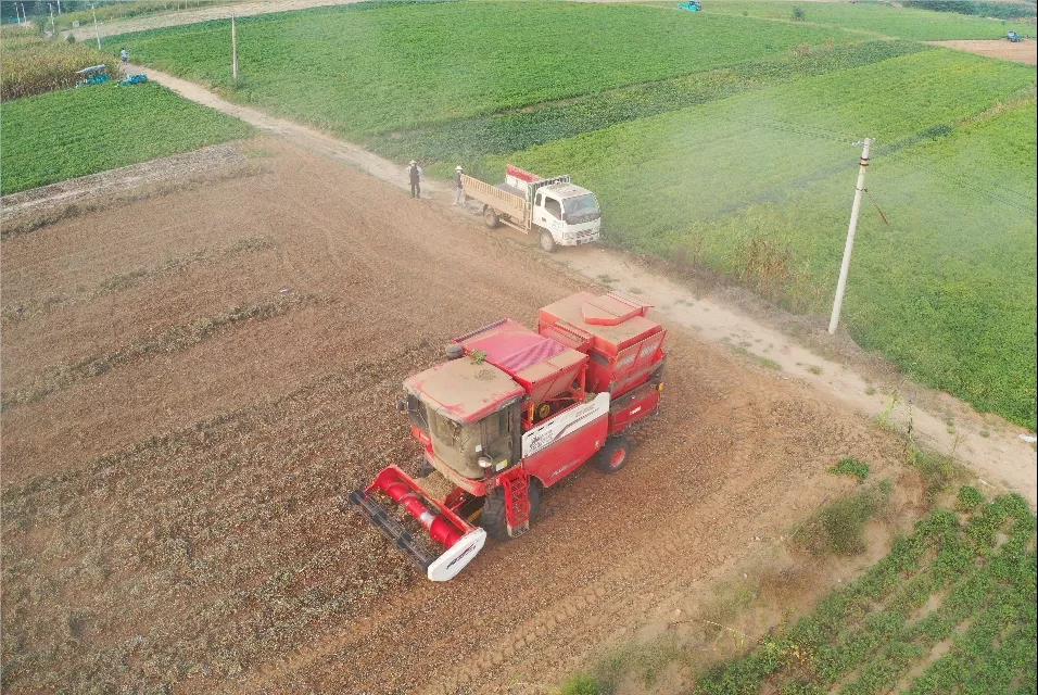 中聯(lián)收獲花生機幫我解決了家里的經(jīng)濟危機 1637232631139980.jpg