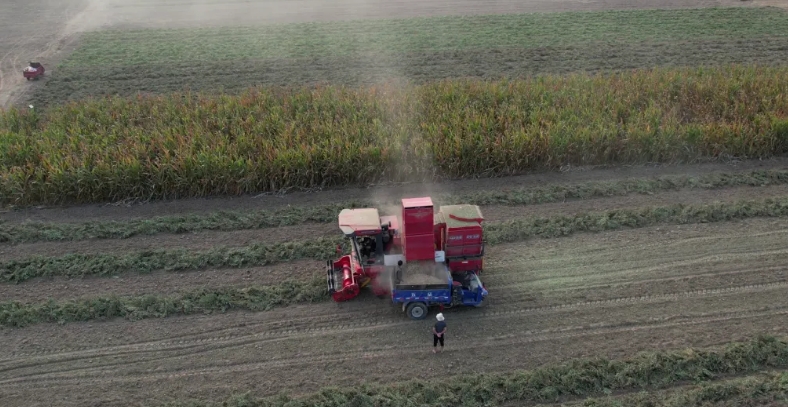 三年買兩臺中聯(lián)收獲花生機(jī) 收獲花生的得力助手 1712500977530075.png